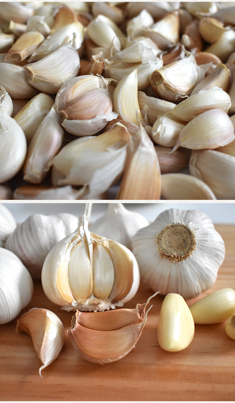 Hot Sale Factory Direct Garlic Price in China