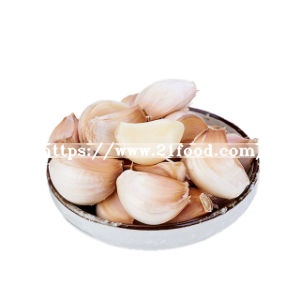 Factory Direct High Quality Bulk Natural Solo Garlic for Sale