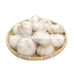 Factory Direct High Quality Bulk Natural Solo Garlic for Sale