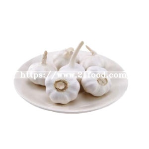 Factory Direct Price Fresh Garlic