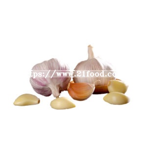 Factory Direct Price Fresh Garlic