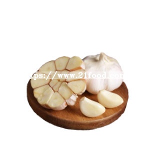 Factory Direct Price Fresh Garlic