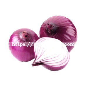 Factory Price Red Onion Specification Fresh