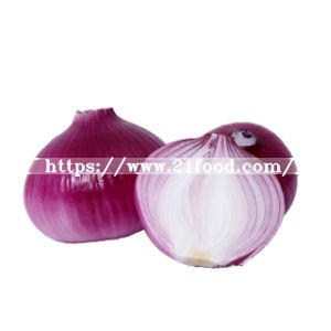 Factory High Quality Onion Sacks