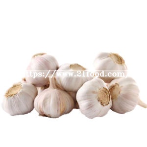 Factory Direct High Quality China Pure Normal White Garlic