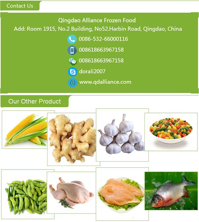 Export Standard Fresh New Crop Solo Garlic