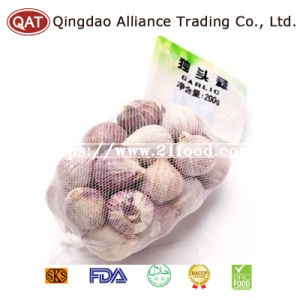 Top Quality Fresh Solo Garlic with Competitive Price