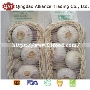Fresh Chinese New Crop Solo Garlic