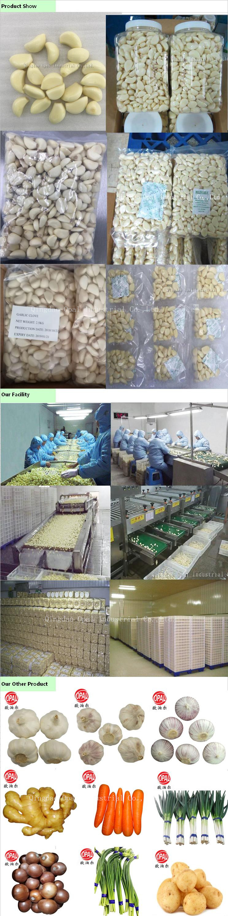 Export to Canada Market Chinese Nitrogen Fresh Peeled Garlic Clove