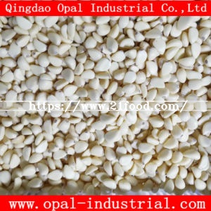 Export to Canada Market Chinese Nitrogen Fresh Peeled Garlic Clove
