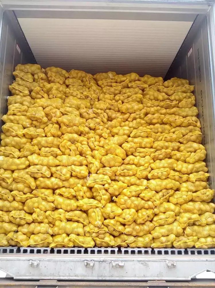 New Crop High Quality Fresj Potato