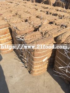 New Crop Good Quality Export Fresh Yidu Chili