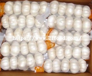 Export New Crop Fresh Pure White Garlic (4.5/5.0)