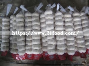 Export New Crop Fresh Pure White Garlic (4.5/5.0)