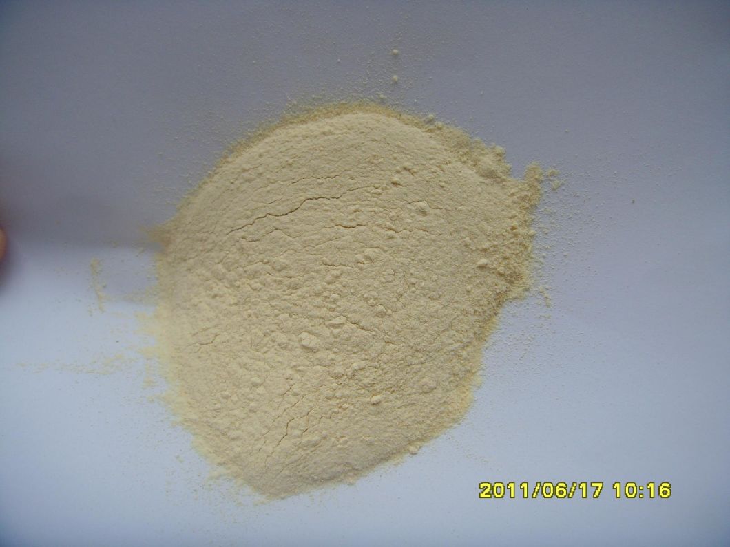 Bottom-Price Factory Strong Taste Dehydrated Garlic Powder (100-120 mesh)
