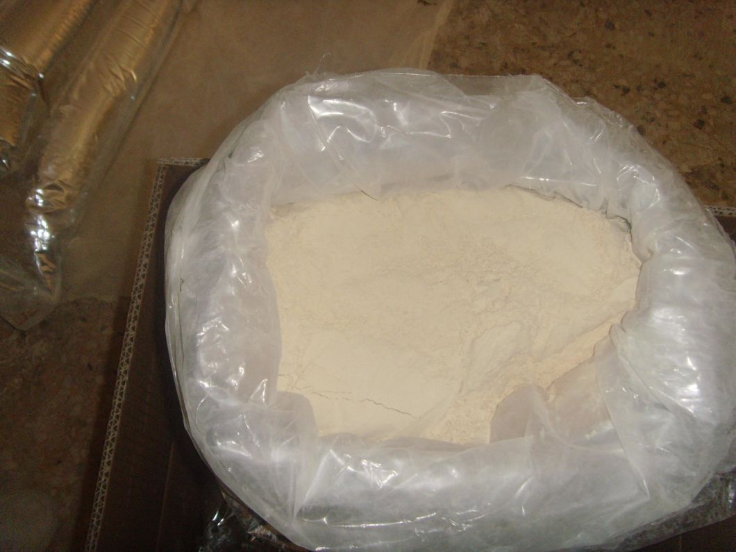 Bottom-Price Factory Strong Taste Dehydrated Garlic Powder (100-120 mesh)
