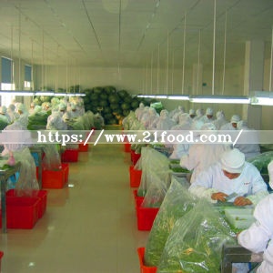 Bottom-Price Factory Strong Taste Dehydrated Garlic Powder (100-120 mesh)