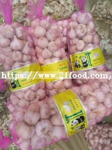 Fresh Size 5-6cm 5kg Mesh Bag Package Normal White Garlic