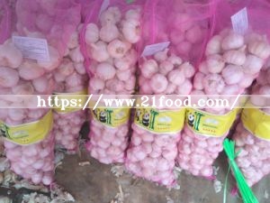 Fresh Size 5-6cm 5kg Mesh Bag Package Normal White Garlic