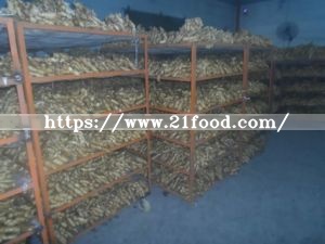 New Fresh Fat Ginger in Mesh Bag