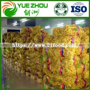 2019 Dried Ginger Price for EU with High Quality