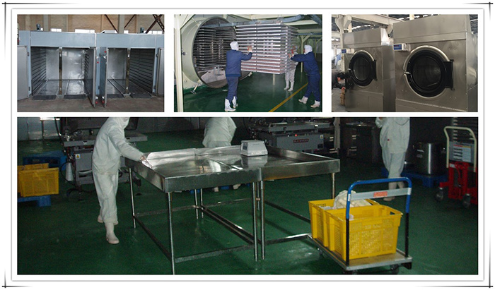 China Factory Spinach Powder in a Competitive Price