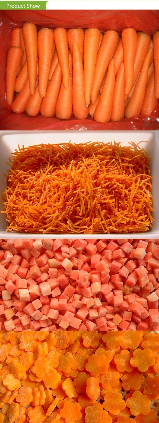 Export Standard Frozen Diced Carrot