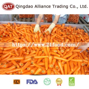 Export Standard Frozen Carrot Slices