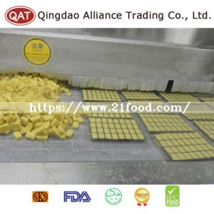 Frozen Ginger Puree Tablet with Competitive Price