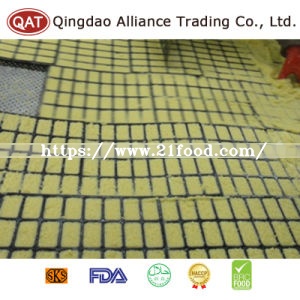 Frozen Ginger Puree Tablet with Competitive Price