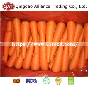Top Quality Carrot Slices with Good Price