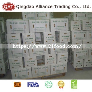 2017 New Crop Fresh Ginger with Good Price