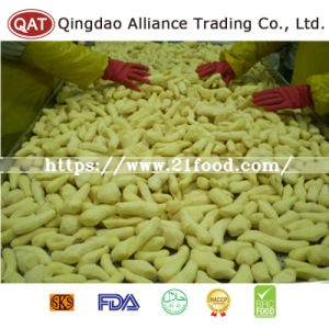 2017 New Crop Ginger with Good Price