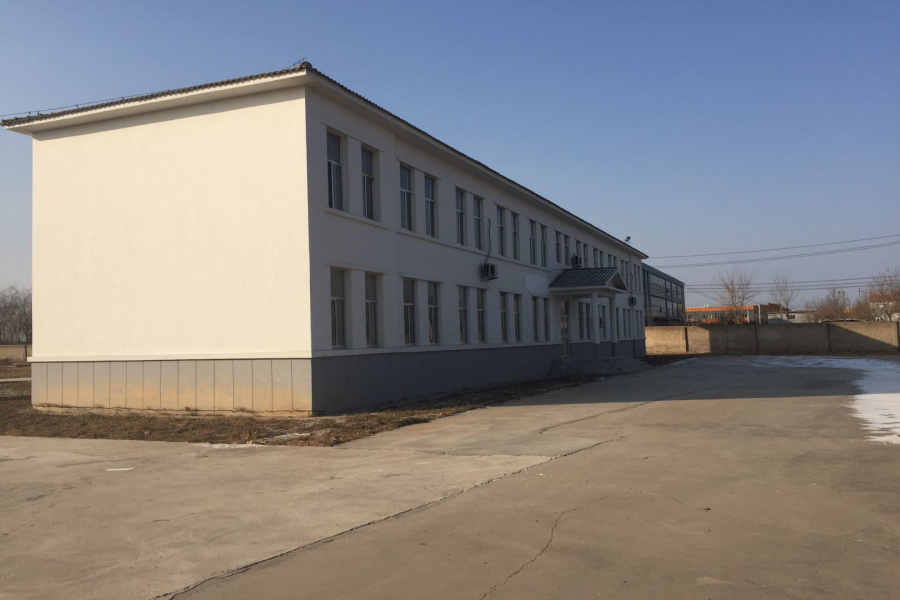 High Purity Bulk Toasted Onion Powder