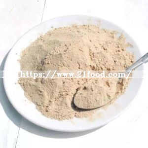 High Purity Bulk Toasted Onion Powder