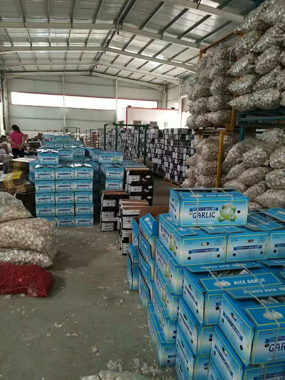 Fresh Pure White Garlic From China (2018)
