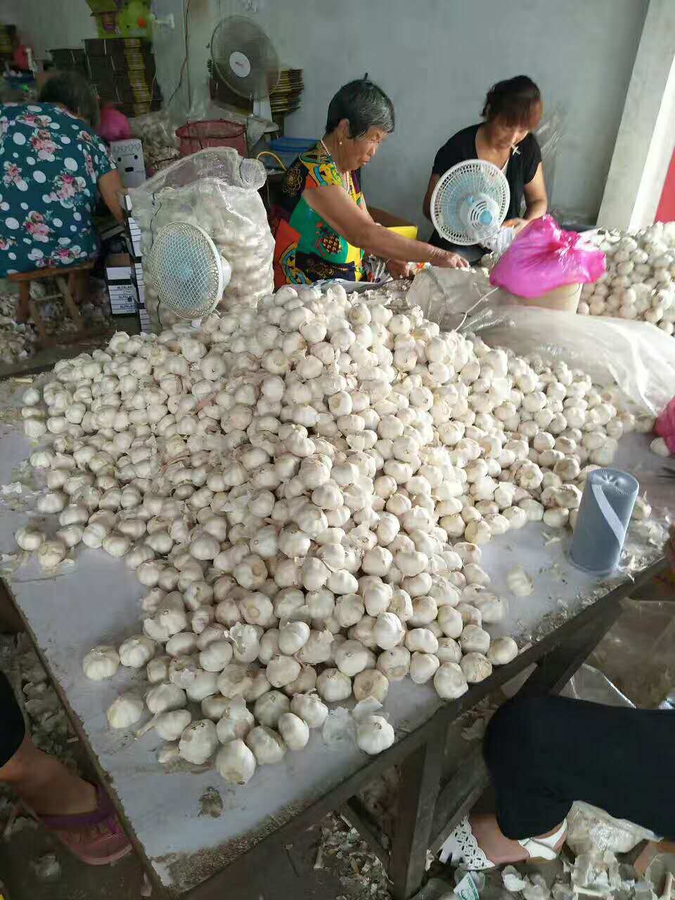 Fresh Pure White Garlic From China (2018)