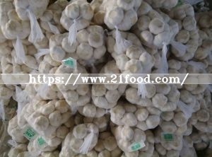 Fresh Pure White Garlic From China (2018)