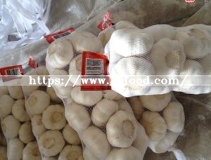 Fresh Pure White Garlic From China (2018)