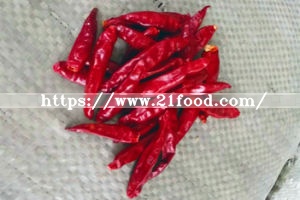Good Quality Dry Red Whole Chaotian Chilli