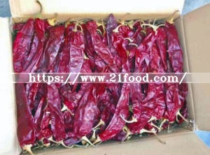 Dry Red Whole Paprika Pods for Seasoning