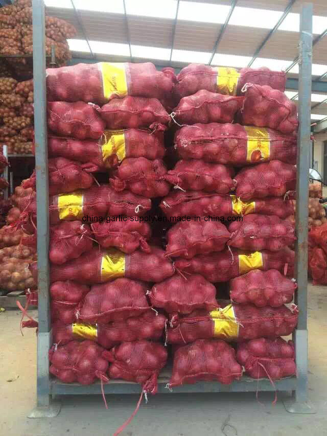 Fresh Red Onion with Mesh Bags