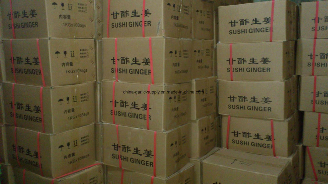 1 Kg of Organic Wholesale Tasty Pickled Pink Canned Sushi Ginger for Japanese