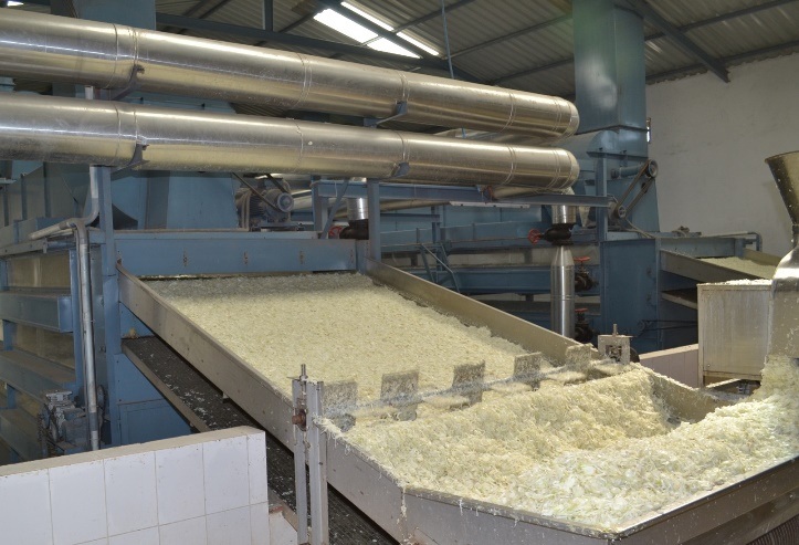 New Crop Dehydrated Garlic Powder