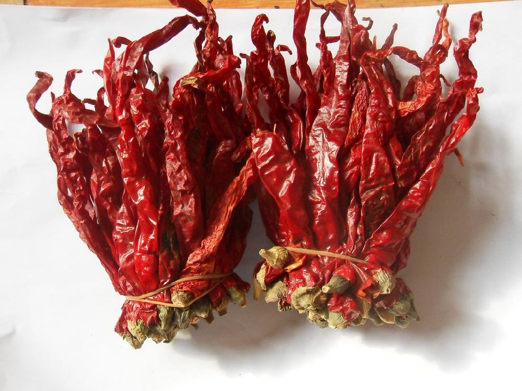 2019 New High Quality Dry Red Capsicum