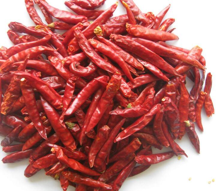 2019 New High Quality Dry Red Capsicum
