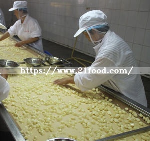 New Crop Dehydrated Garlic Powder