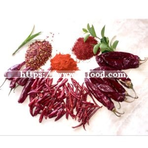 The Most Popular Dried Red Capsicum