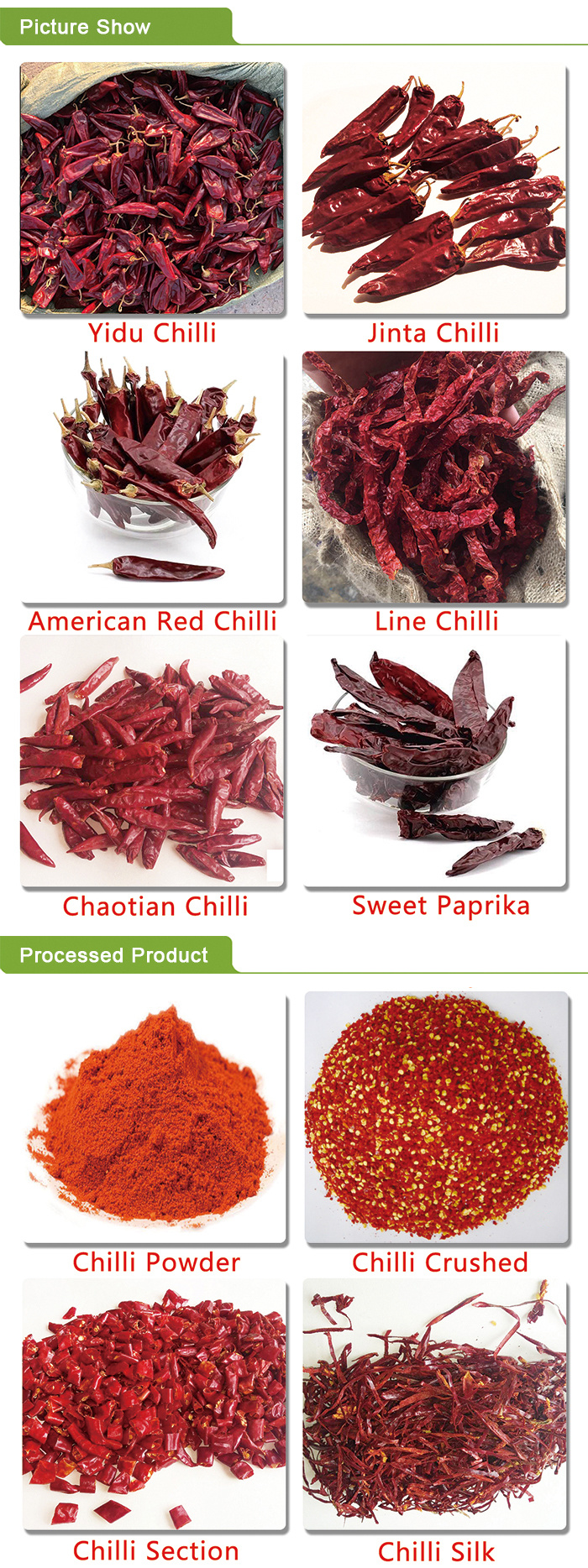 High Spicy Red Hot Bullet Chilli