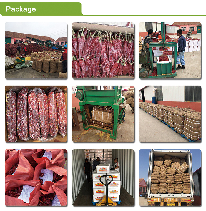New Crop Sweet Red Paprika From Xinjiang